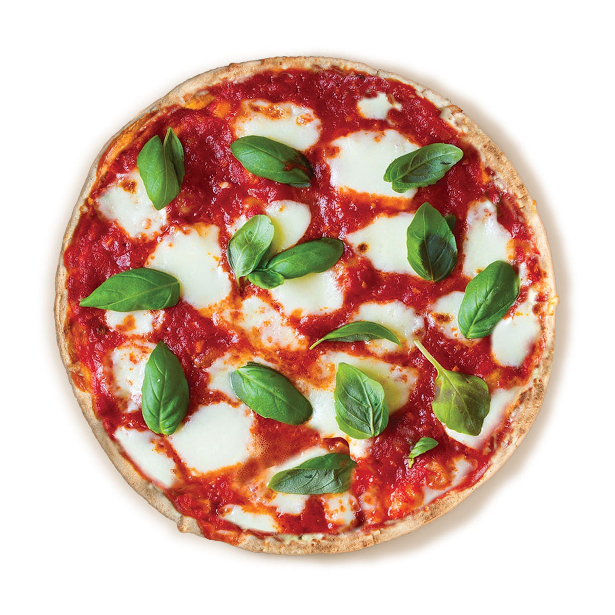 A top-down view of a fresh large pizza with tomato sauce, melted white cheese, and green basil leaves on a white background.